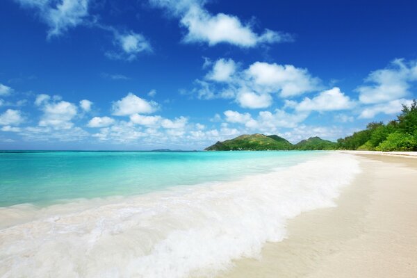 Plage de sable avec de l eau bleue