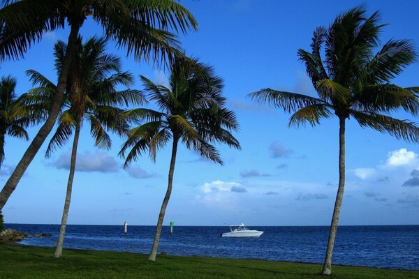 The coast of Miami with a boat in the distance