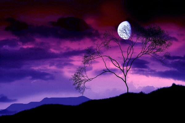 A fragile tree against the background of the moonlit sky