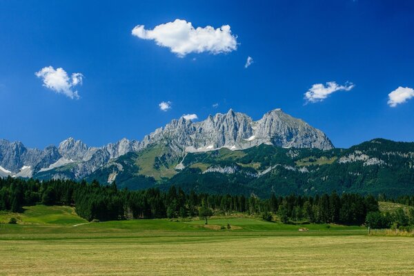 The mountains of Austria are famous for their dense green meadows
