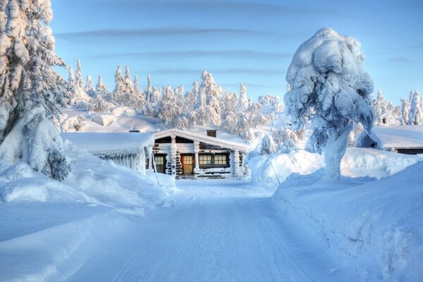 Landscape of a frosty morning with a snow-covered house