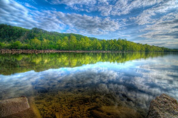 The landscape of the forest in the reflection of the lake