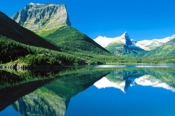 Lac montagne forêt été