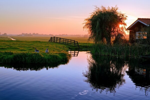 A quiet village with a pond at sunset