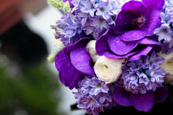 Schöne lila weiße Blumen in einem Blumenstrauß