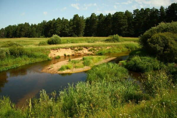 A river with a sandy island