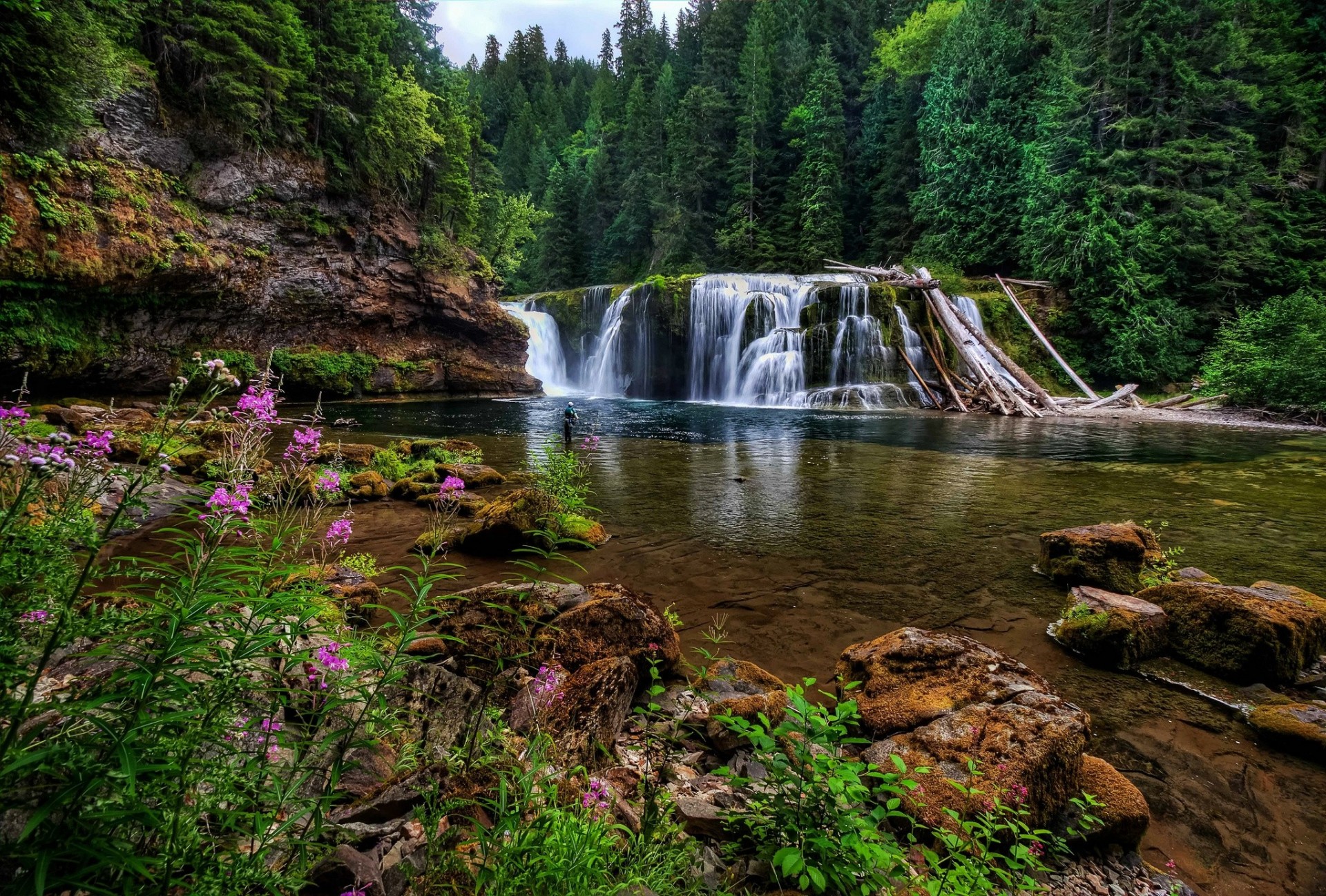 steine wasserfall fluss washington wald blumen lewis river