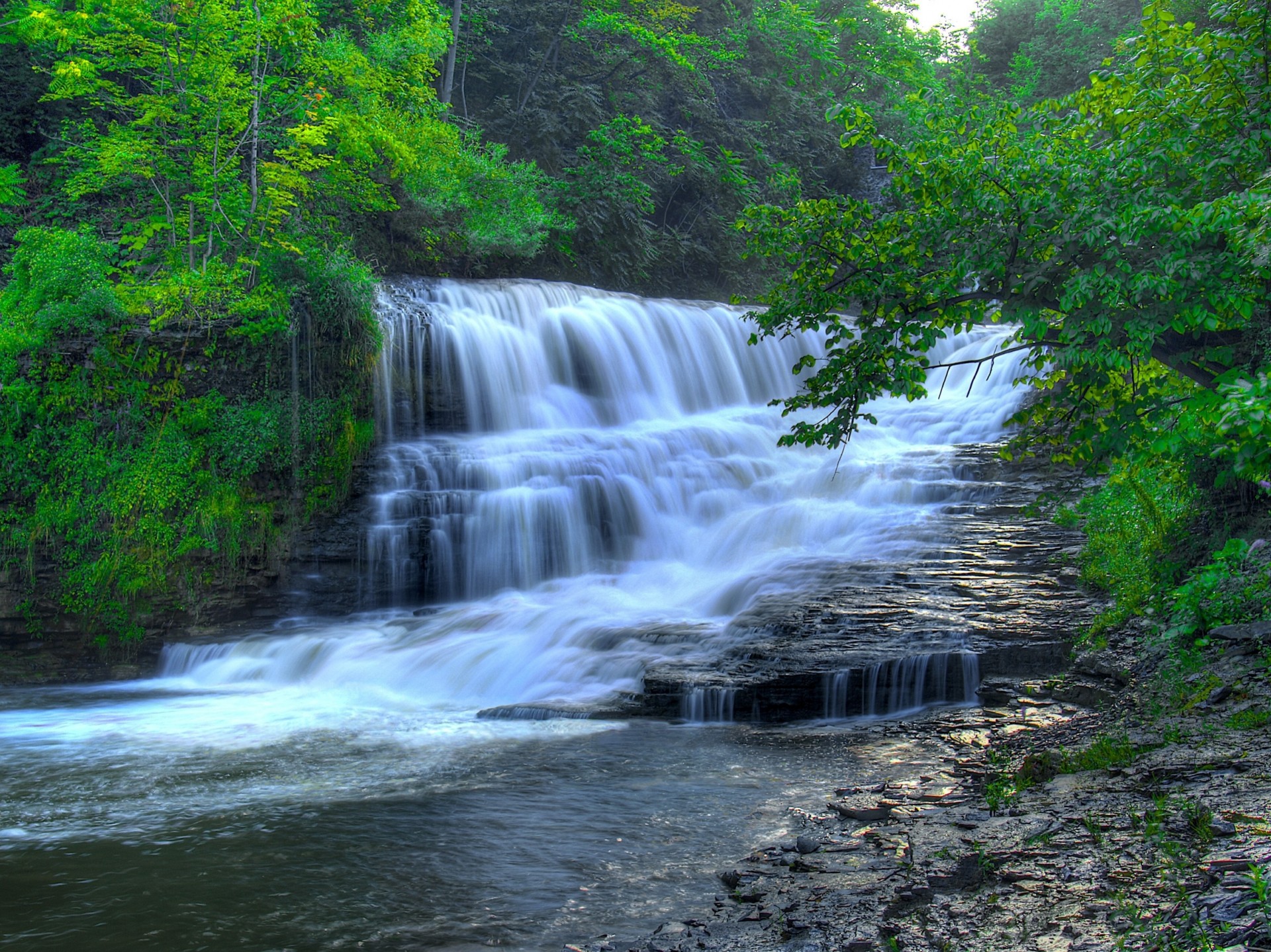 fluss natur wasserfall bäume