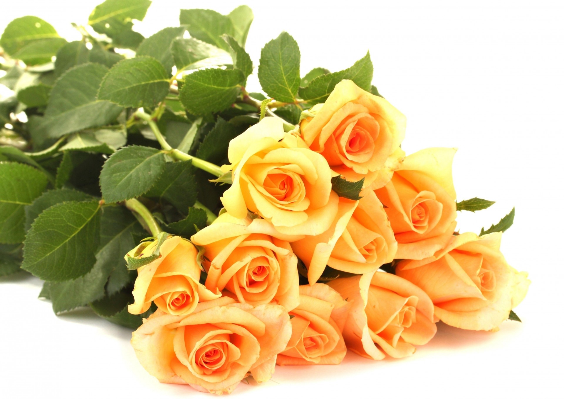 lie bouquet yellow flower rose