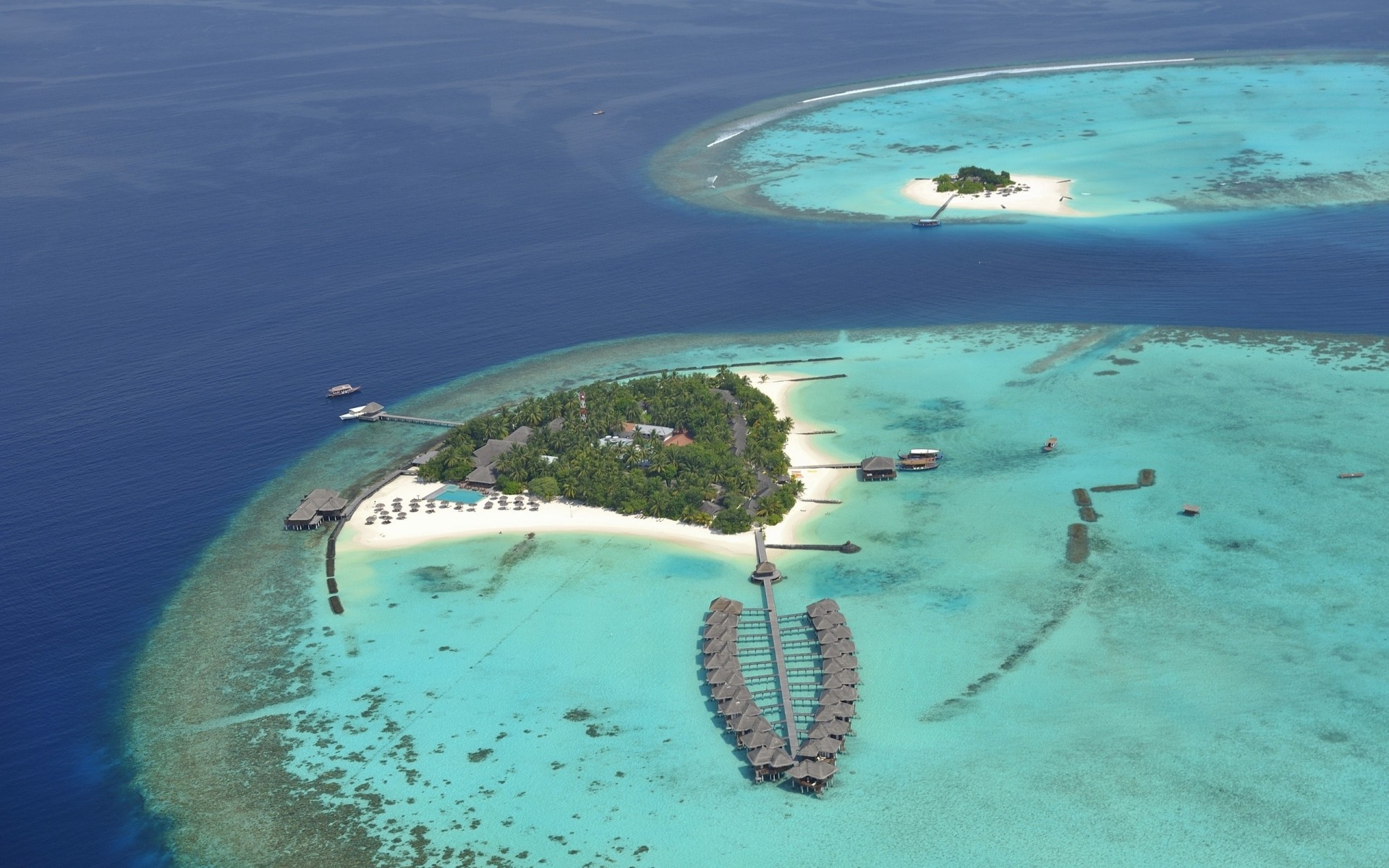 azul diseño palmeras islas cabaña océano trenzado top