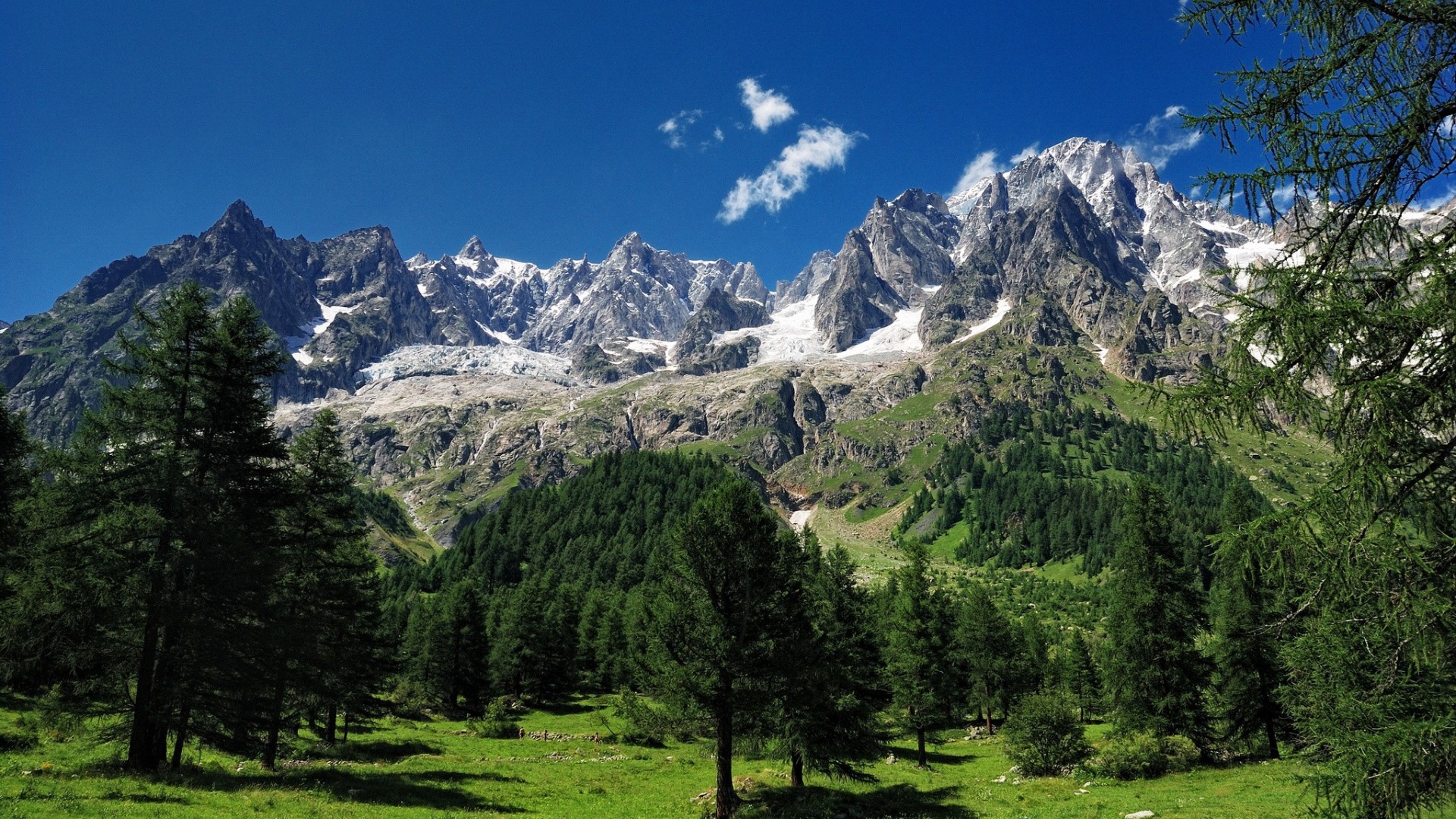 mont blanc bäume alpen berge