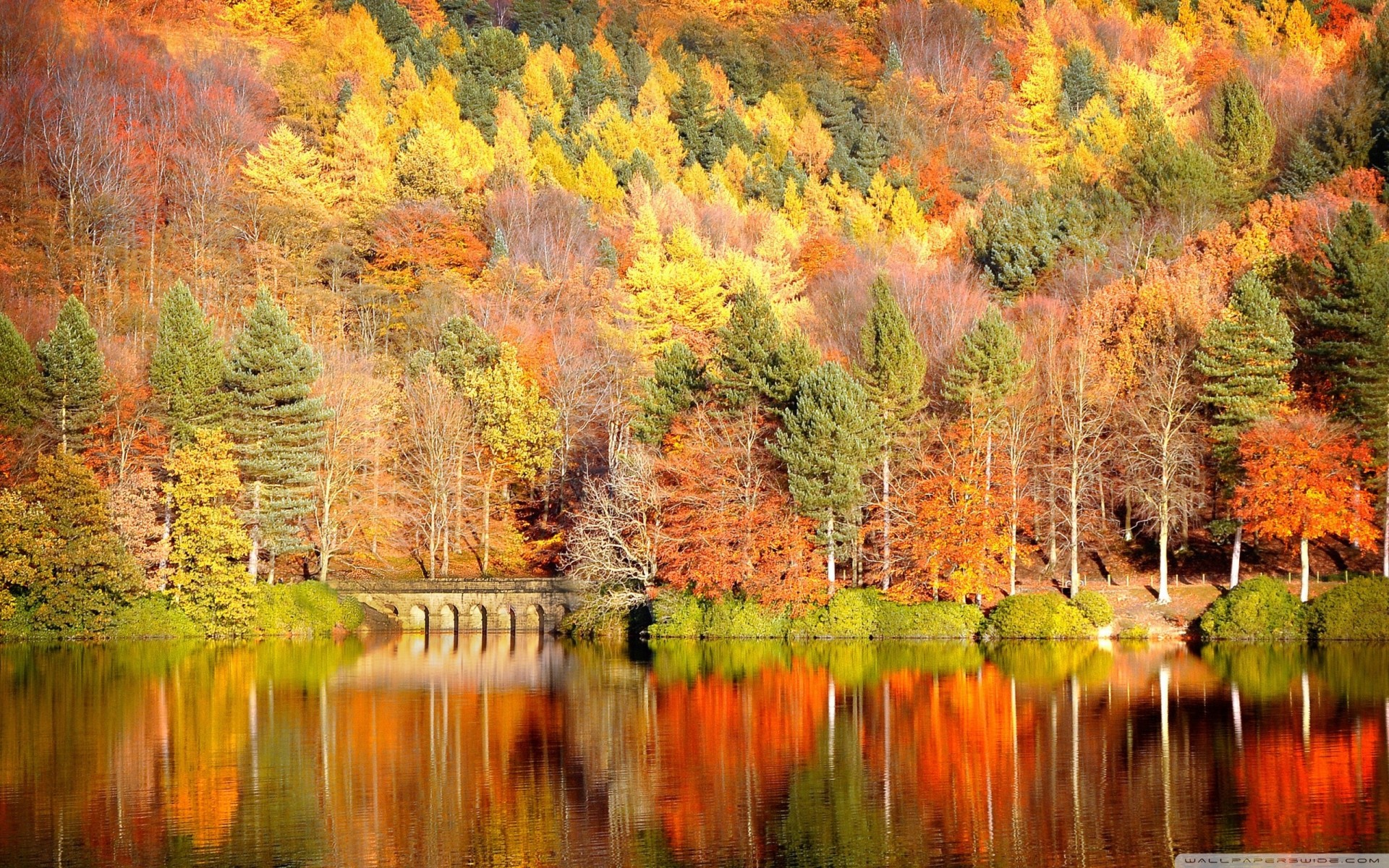 precioso lago reflexión bosque otoño montaña