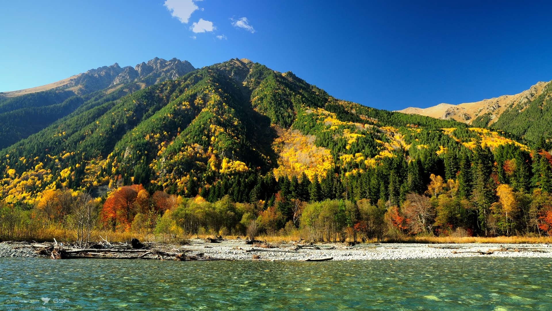 río bosque agua ríos otoño montañas