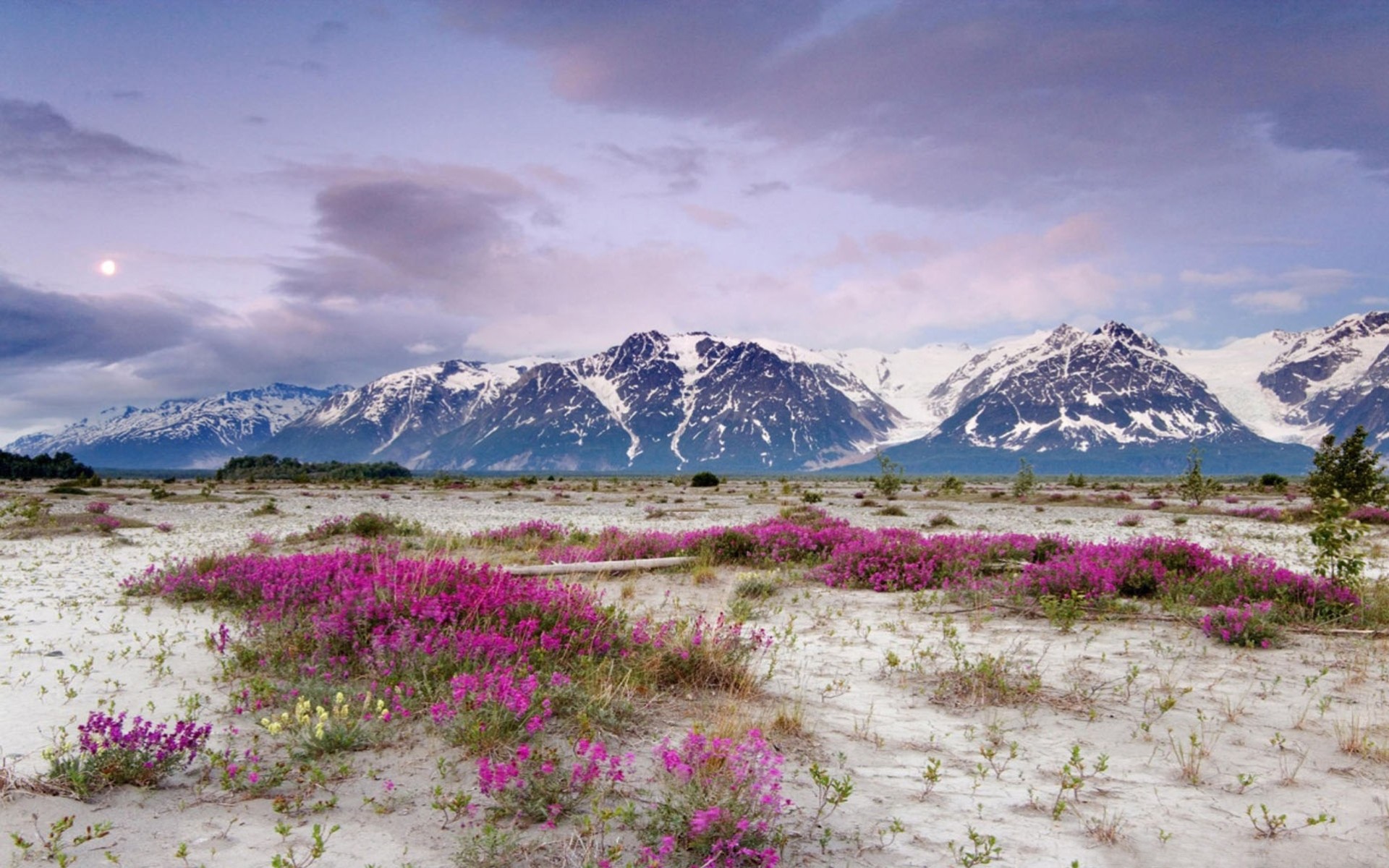 berge landschaften blumen frühling