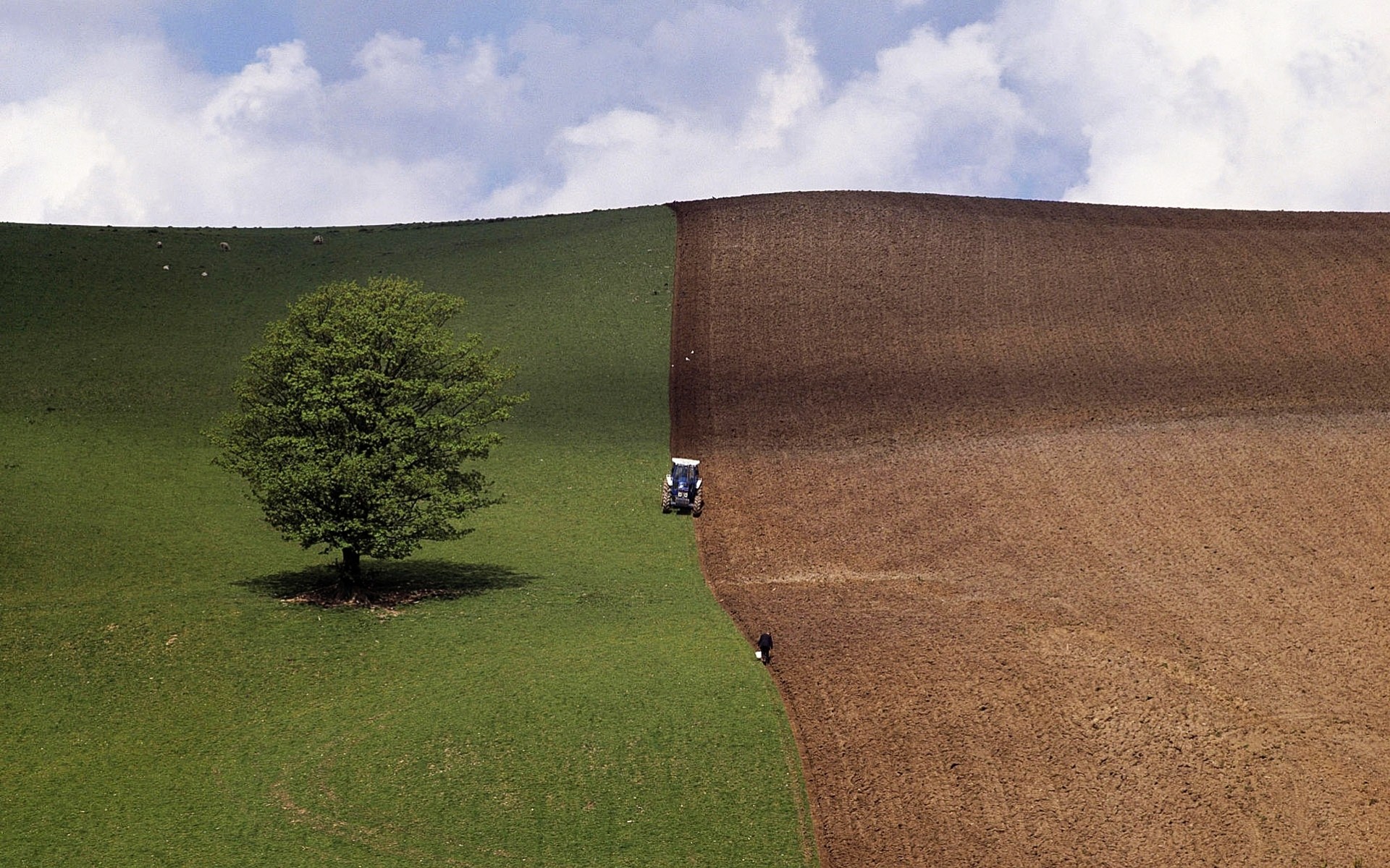 campo trattore