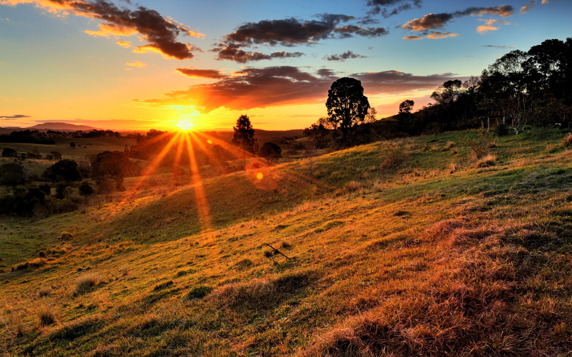 paysage coucher de soleil nature arbres collines ciel