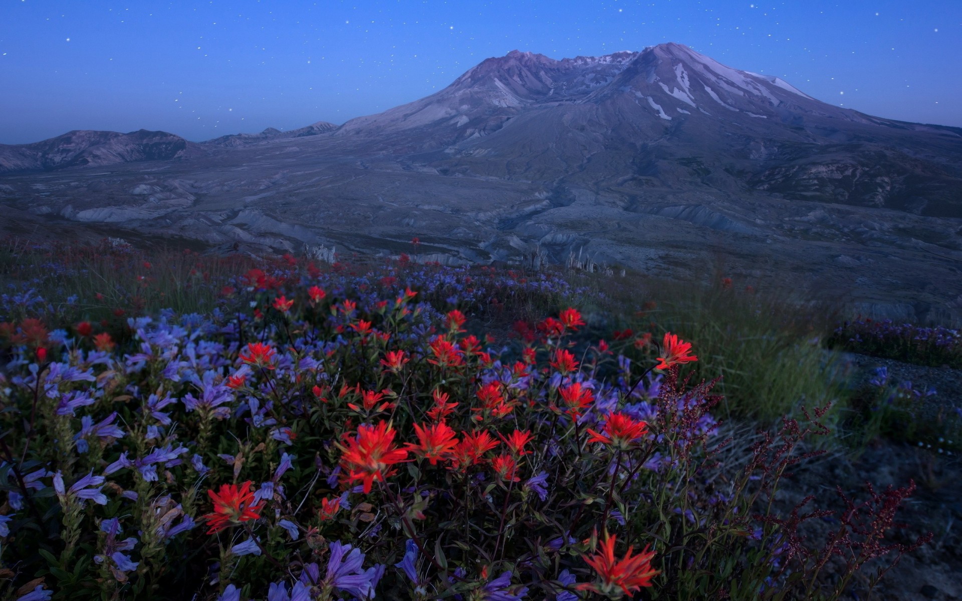 natur blumen nacht himmel vulkan berge wiese