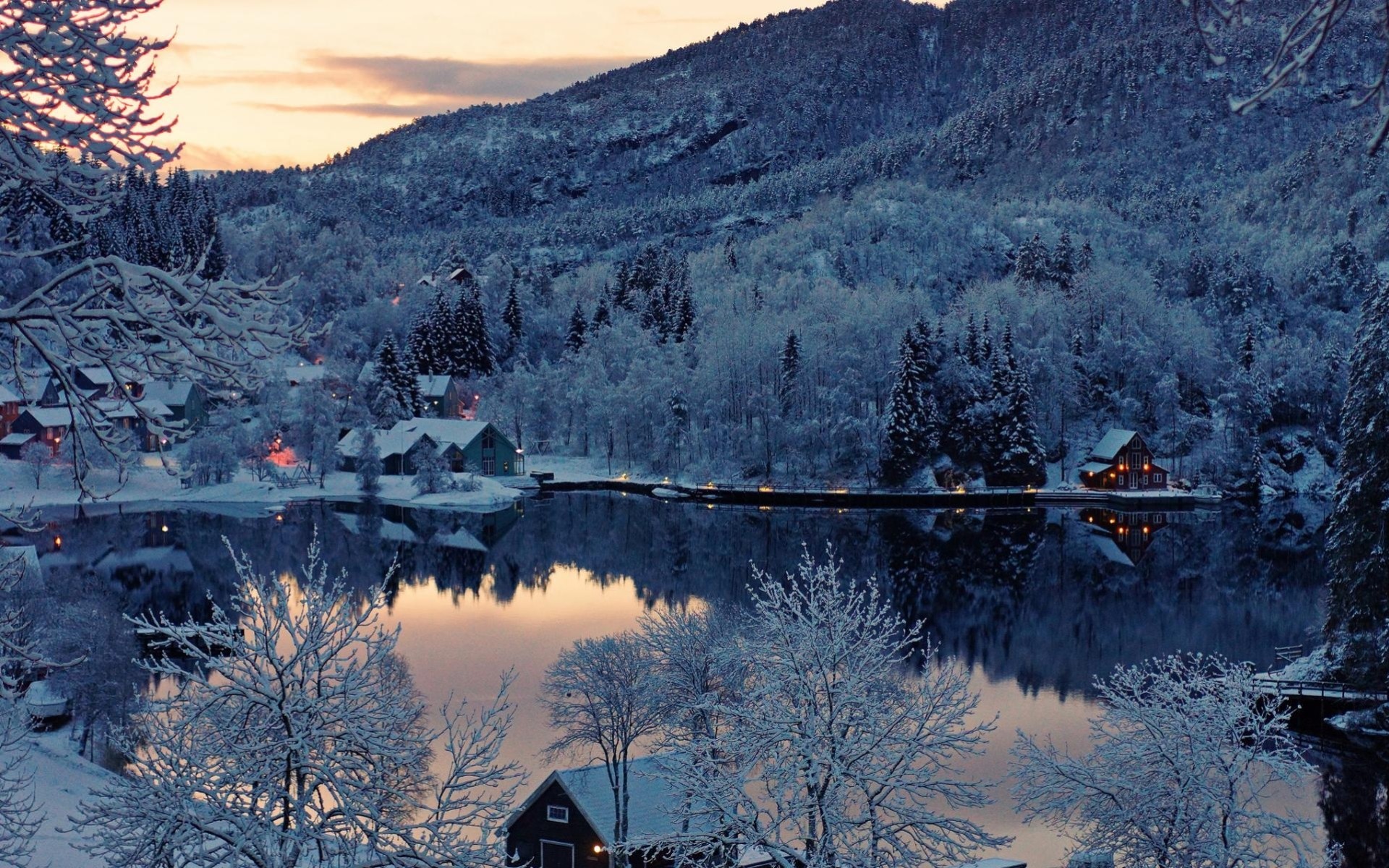 now reflection frost lake tree night landscape winter house