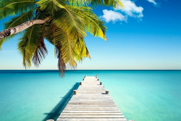 Sentiero spiaggia tropicale al mare