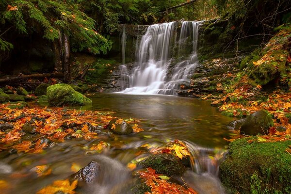 Landscape with waterfall among autumn foliage