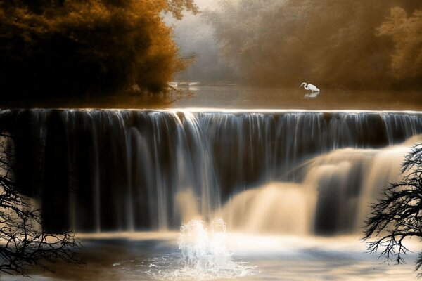 Wasserfall im Herbstwald mit Bäumen