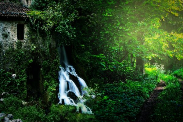 Natura foresta costruzione e Cascata