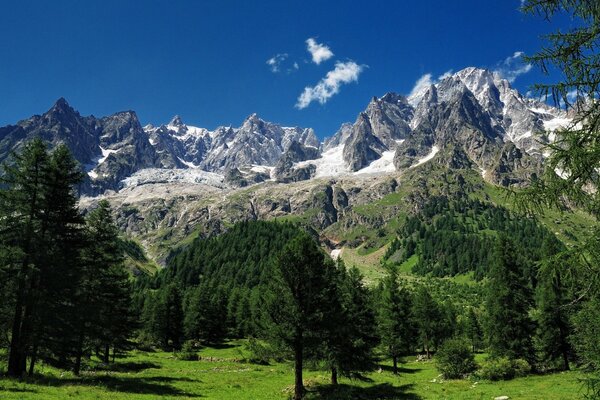 Montagnes des Alpes et arbres