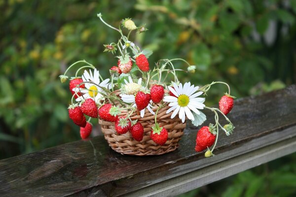 Bouquet de fraises et de marguerites dans un panier