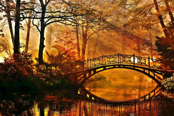 Hermoso puente sobre el río en el parque