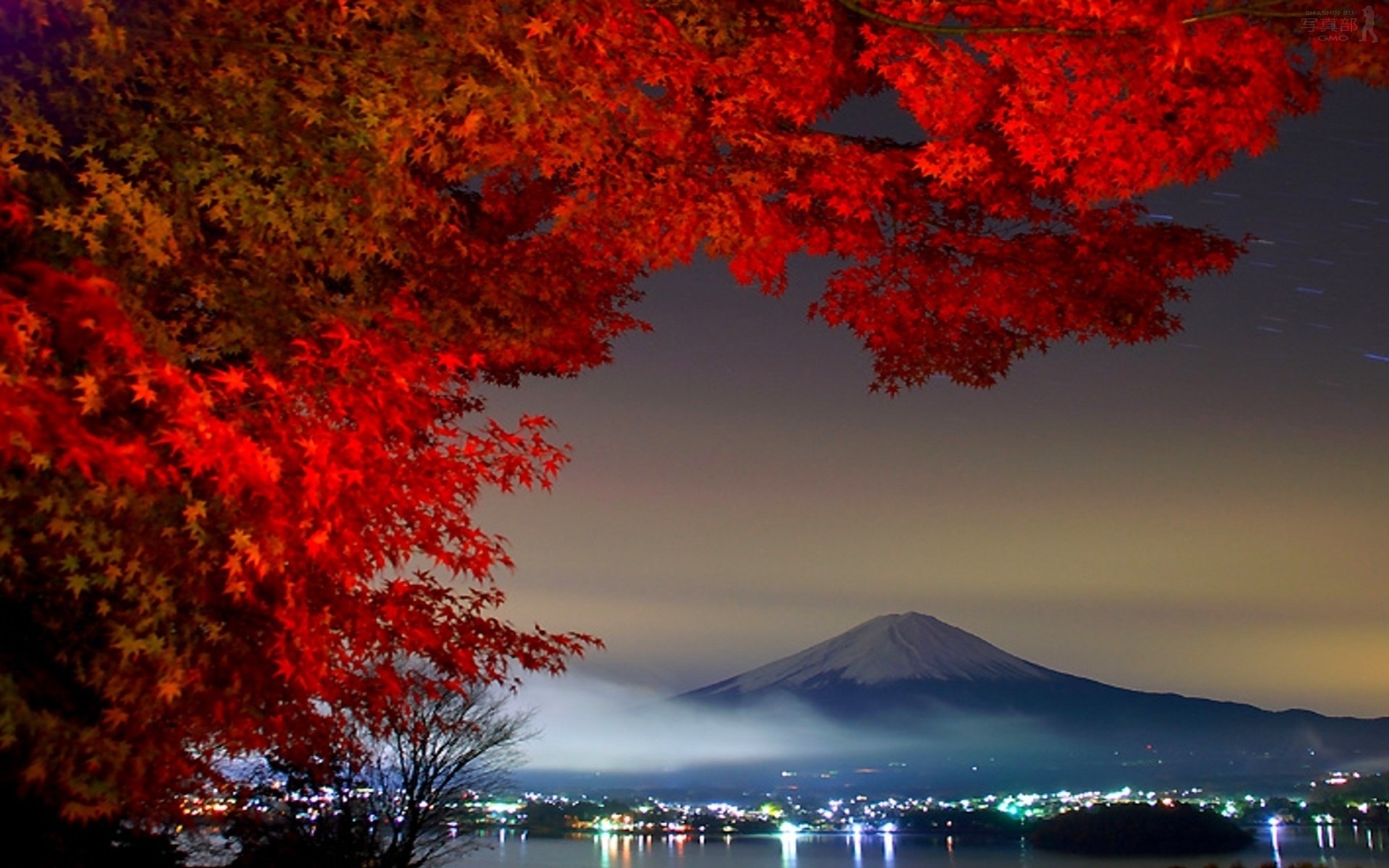 árbol fuji tokio montaña volcán