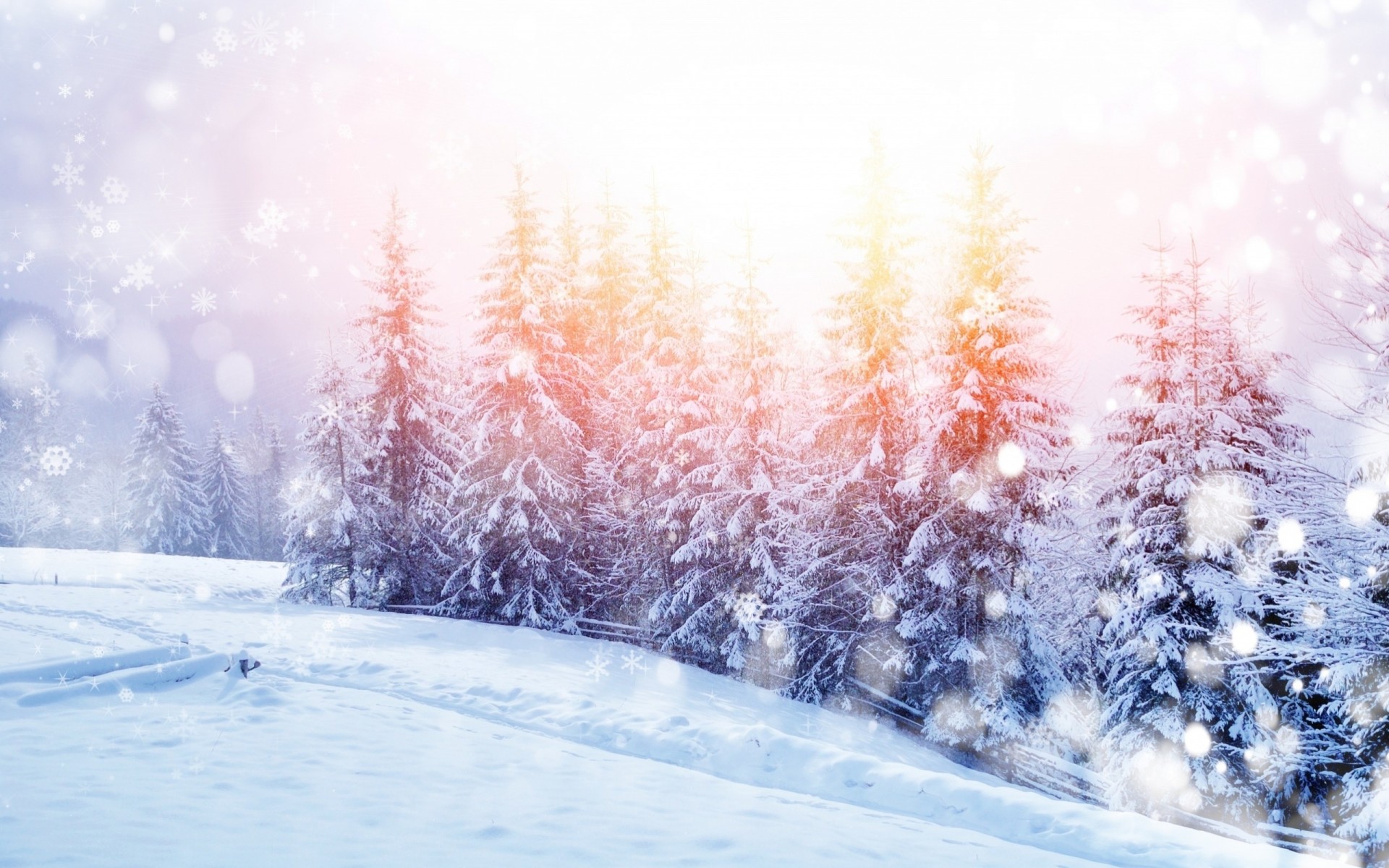 paesaggio natura alberi neve montagne inverno