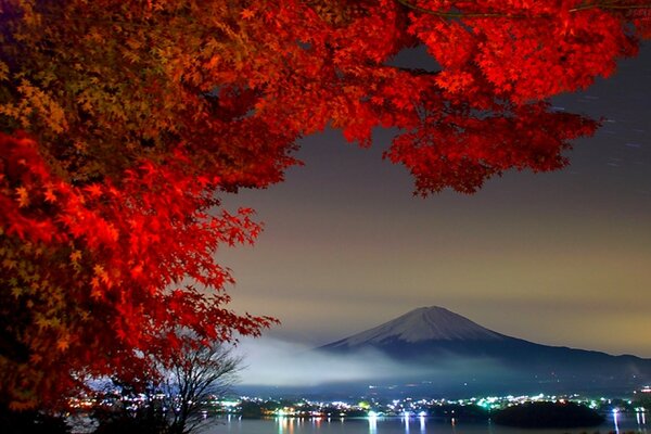 Fuji-Baum auf dem Hintergrund der Abendberge
