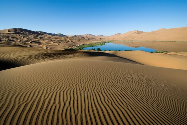 Линии на песке в пустыне рядом с оазисом