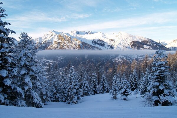 Nebbia invernale nelle montagne innevate