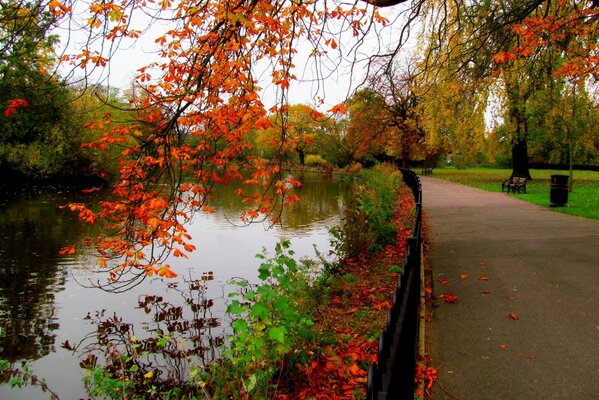 A park with a walking road by a lake with lush foliage