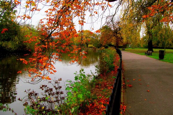 Парк с дорогой для прогулок у озера с сочной листвой