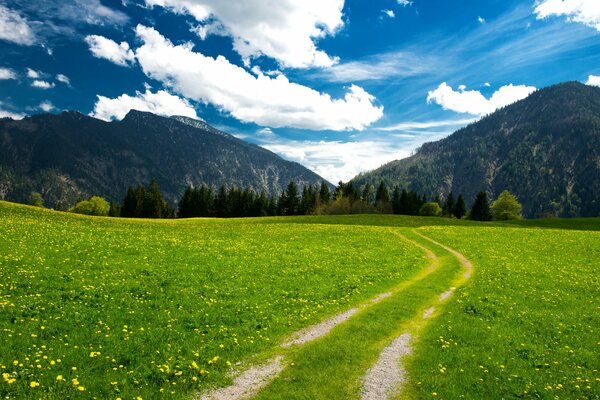 Alpine mountains and meadows under a clear sky with white clouds