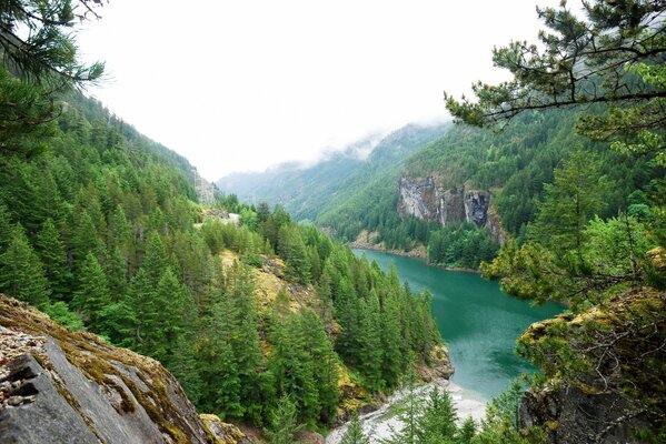 Paisaje del río que fluye a través de las montañas rocosas