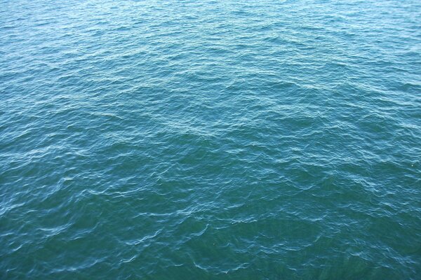 Légère ondulation de l eau de mer bleue