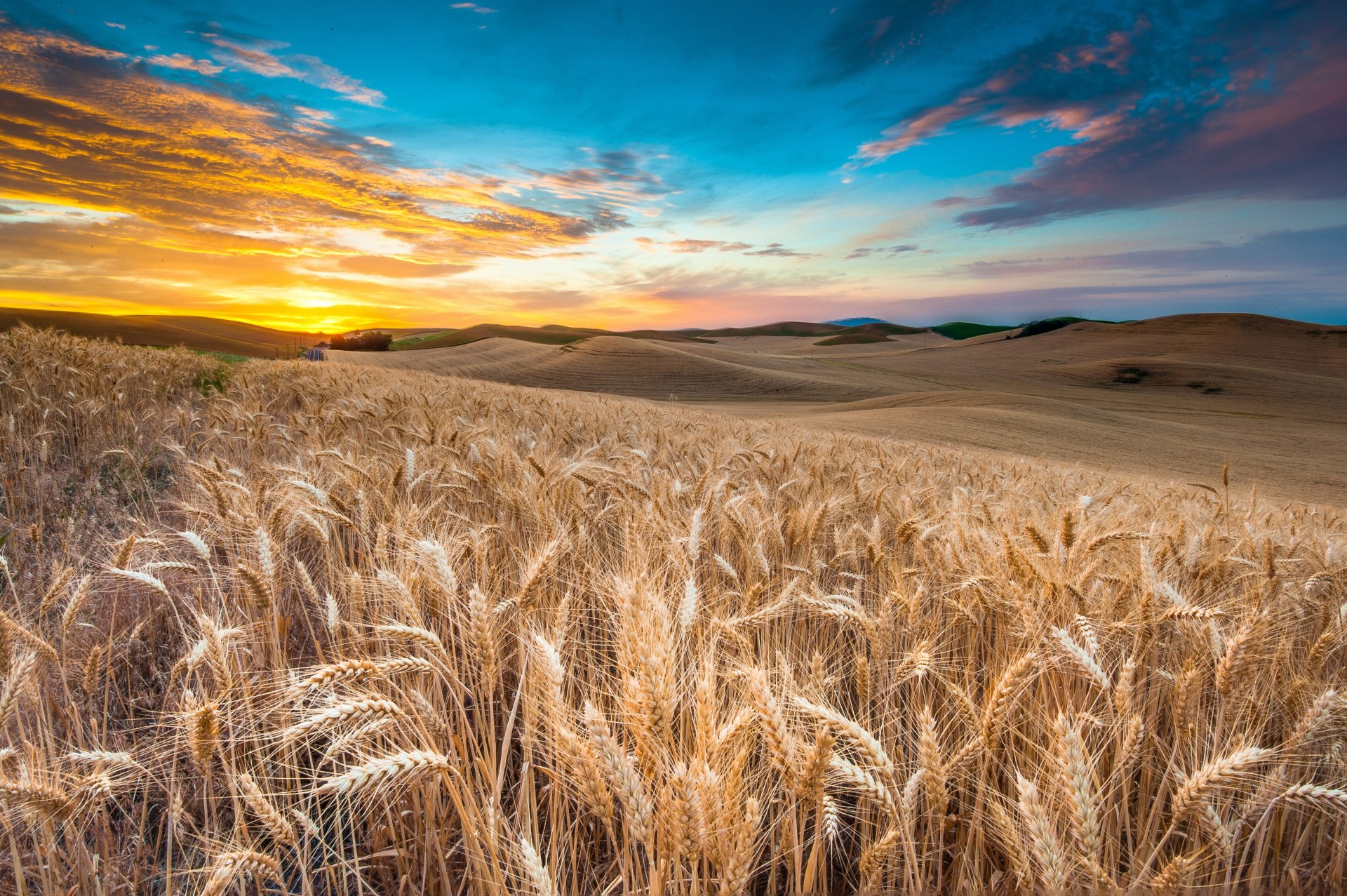 feld himmel landschaft wolken natur