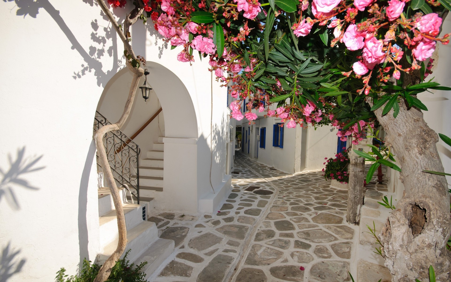 grecia casas flores santorini