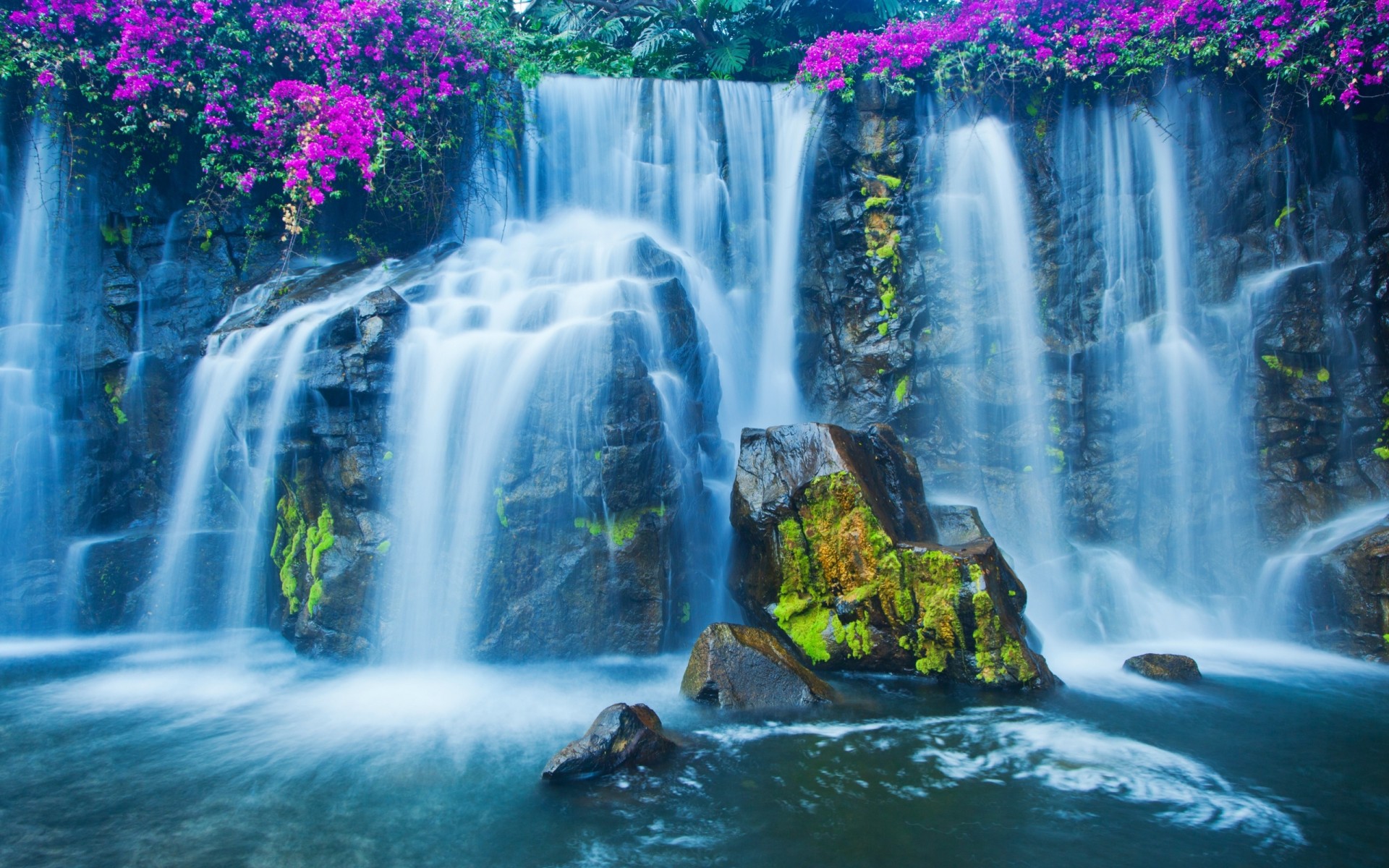 steine moos blumen wasserfall