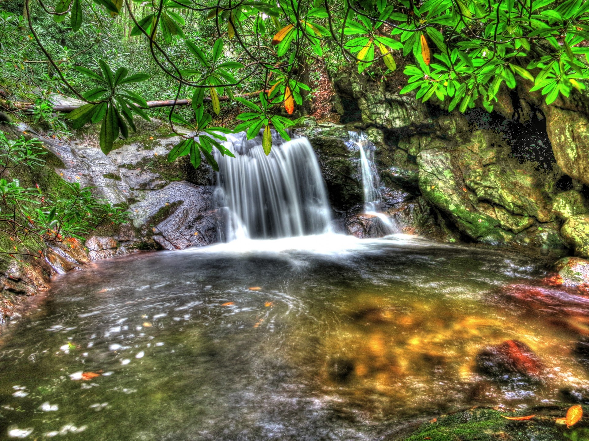 blatt teich zweige wasserfall natur