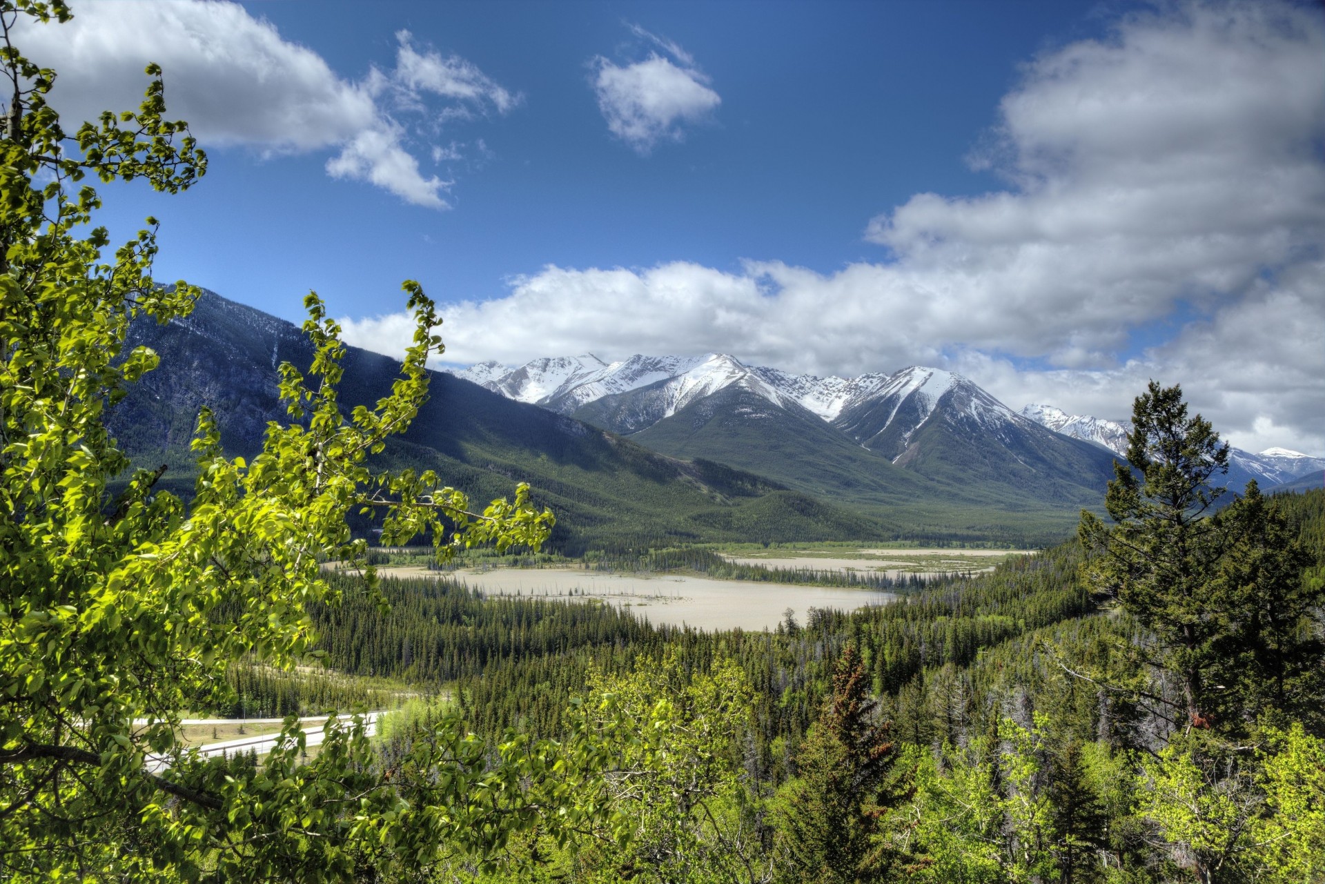 krajobraz alberta las kanada park narodowy banff banff góry skaliste góry