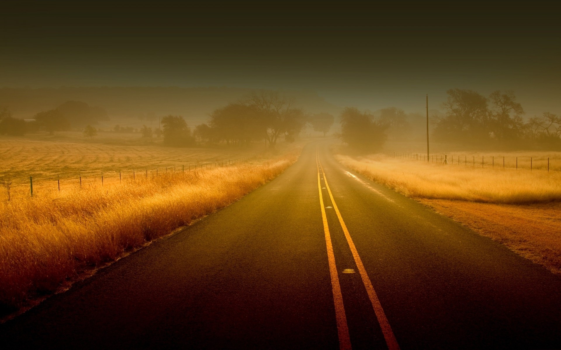 asphalte herbe toscane suspense rayures brouillard route automne lignes