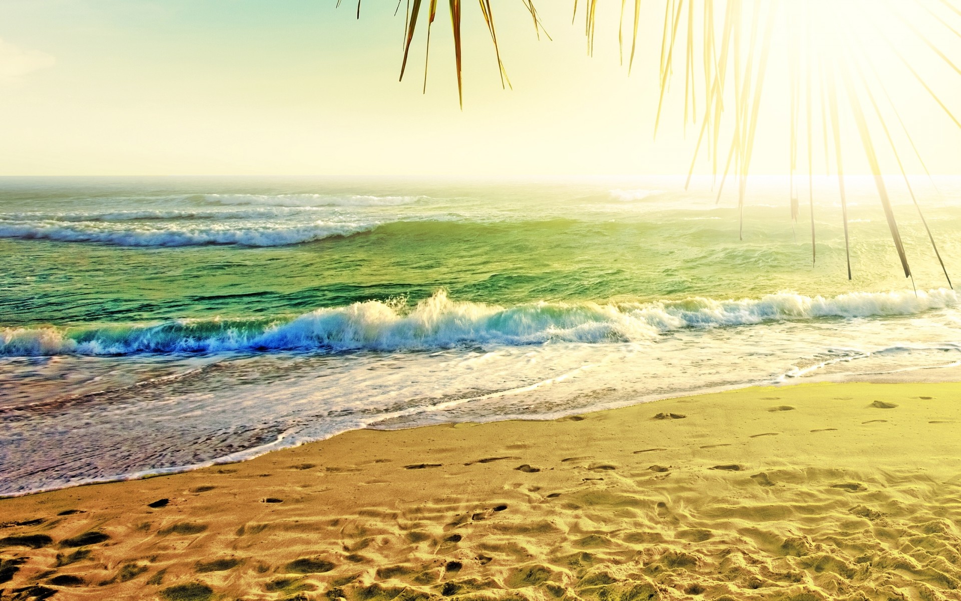 spiaggia natura onda sole mare sabbia