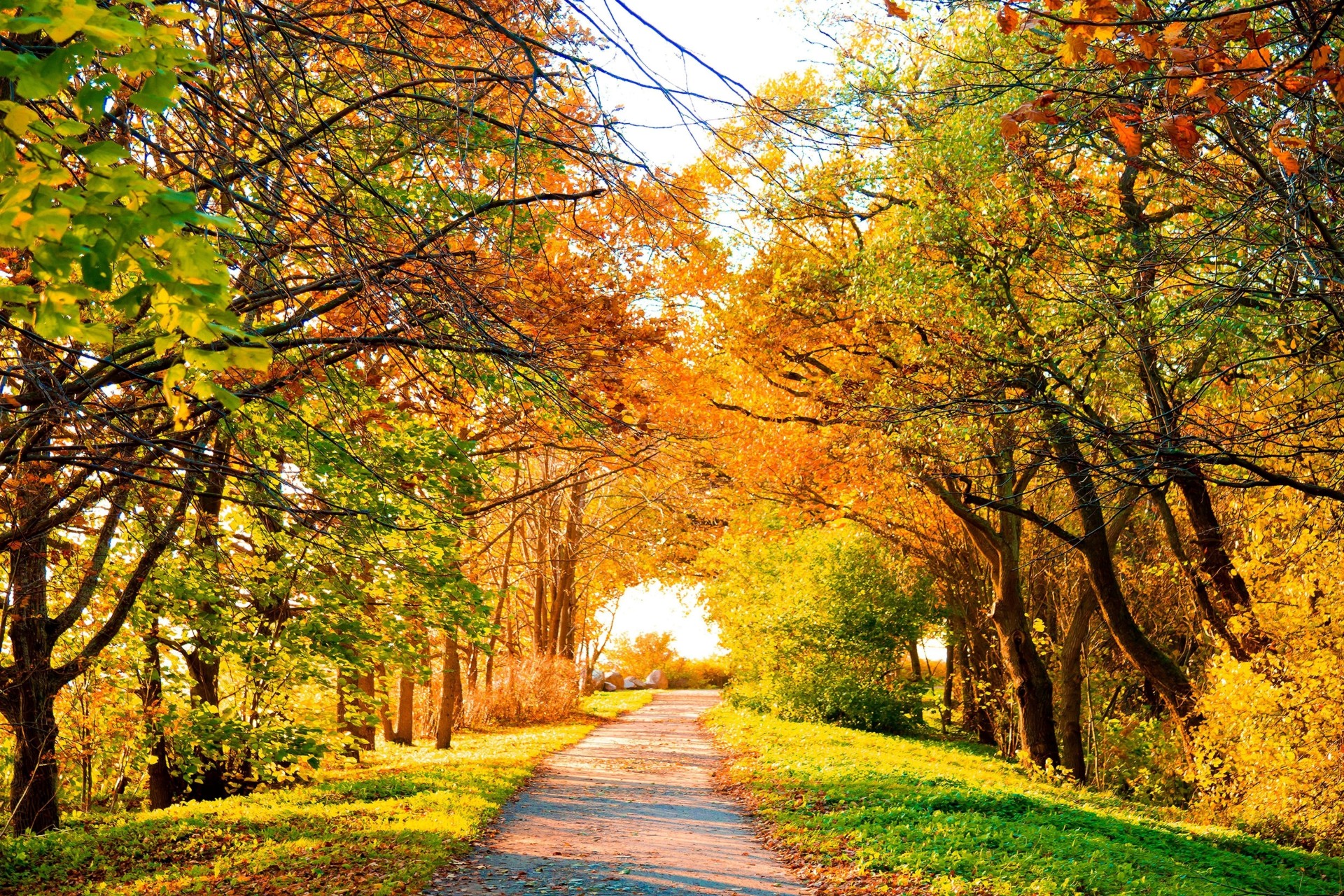 herbst wolken landschaft natur