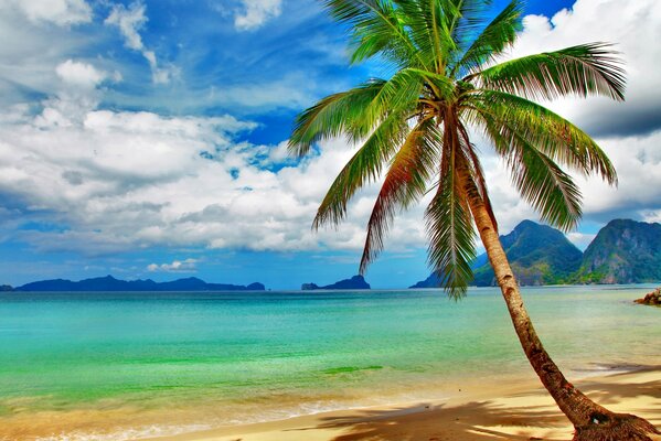 Paraíso tropical en la costa azul