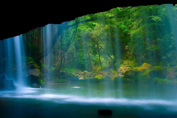 Wasserfall in der Wildnis von desa Baumverdünnung im Teich