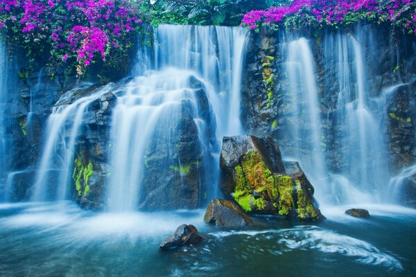 Blooming stones at the waterfall